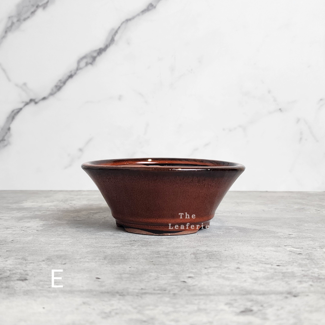 Bonsai Flowerpots (Series 23)