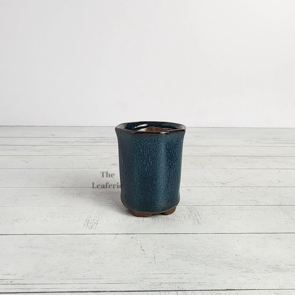 Petit Bonsai Pot (Series 7)