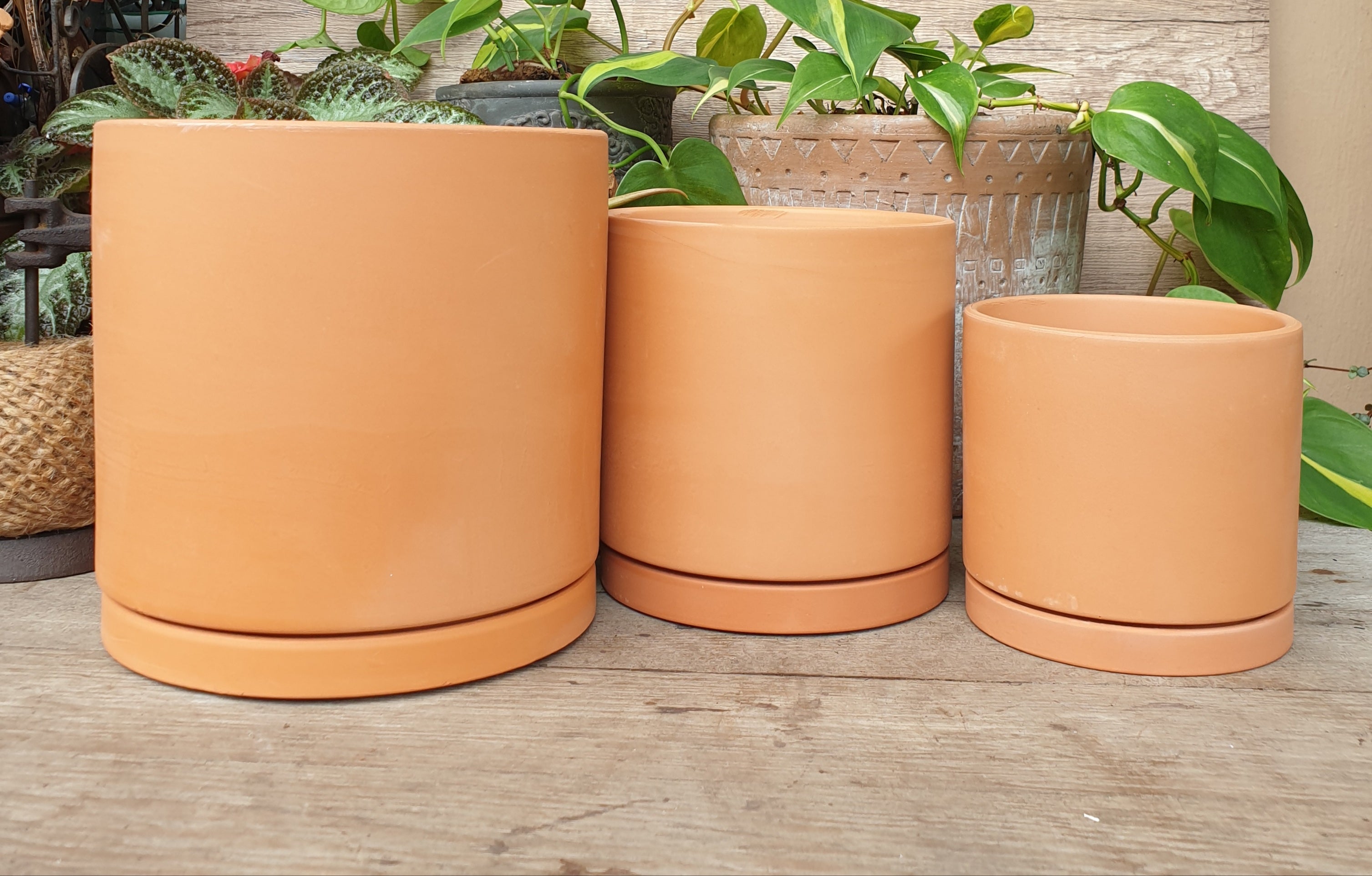 Terracotta E Flowerpot