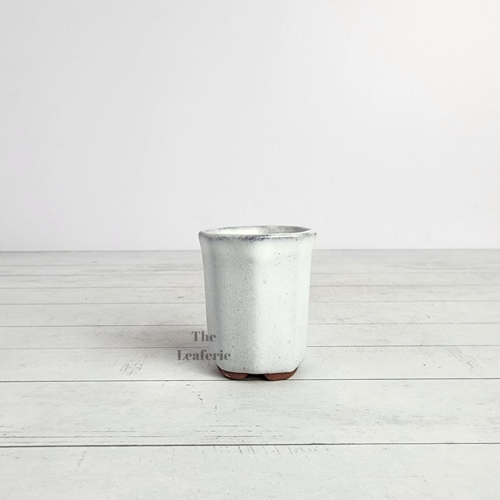 Petit Bonsai Pot (Series 7)