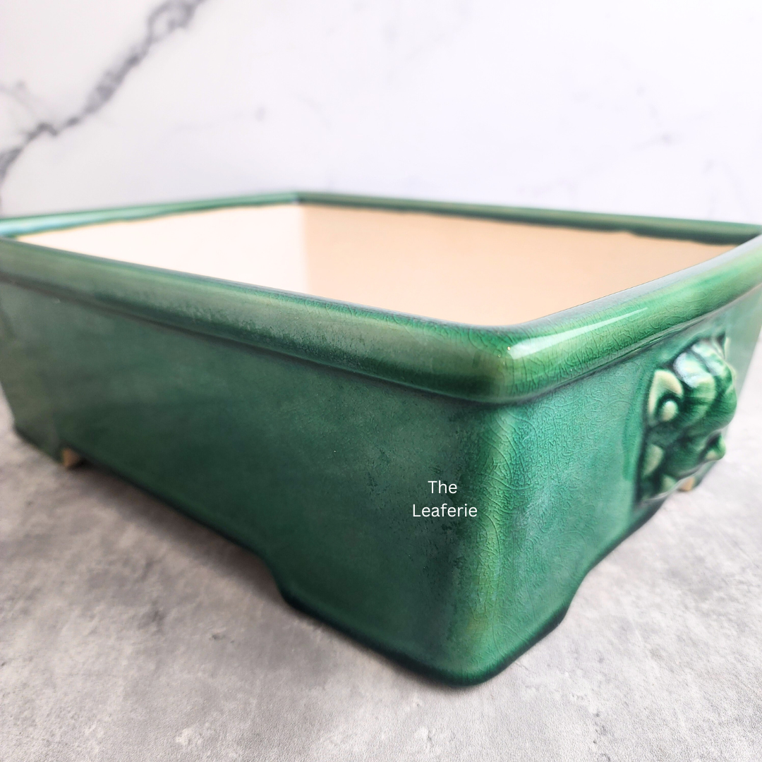 Bonsai Flowerpot (Series 61) Rectangular