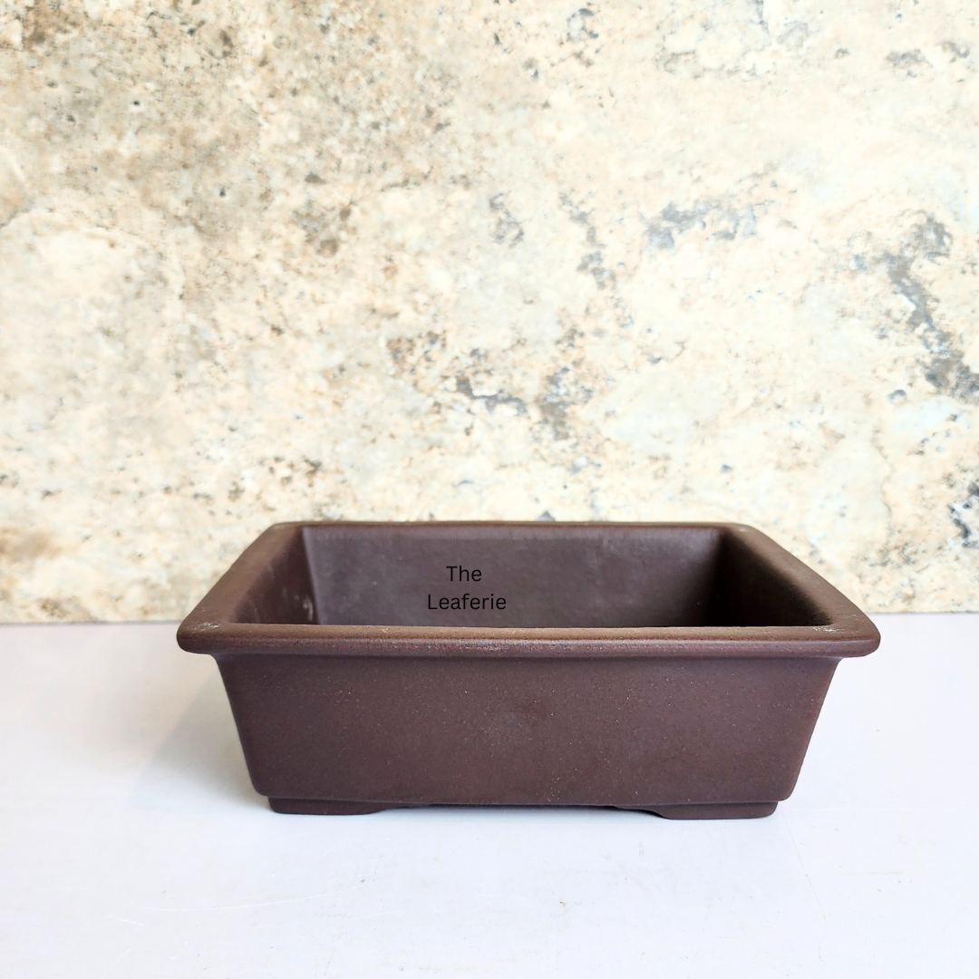 Bonsai Rectangular (Series 3) Flowerpot
