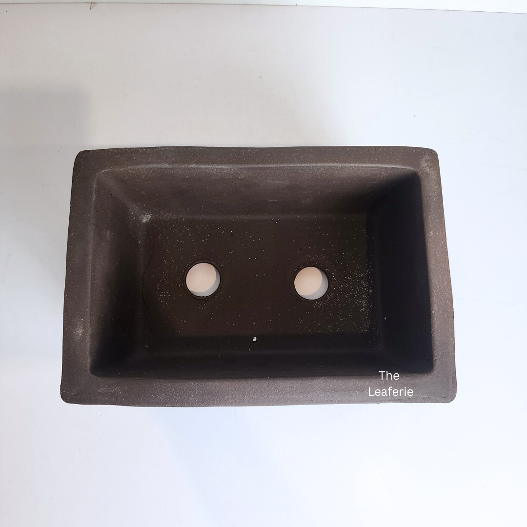 Bonsai Rectangular (Series 2)