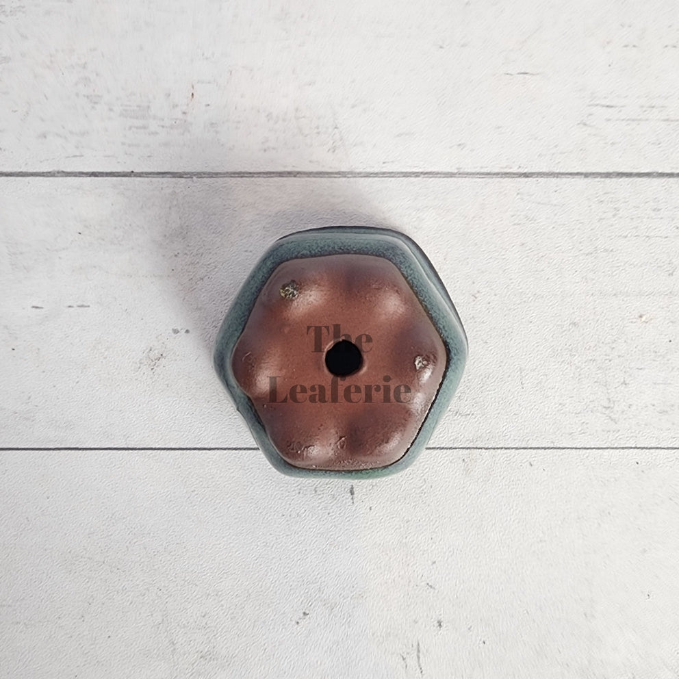 Petit Bonsai Pot (Series 16) Hexagon shape