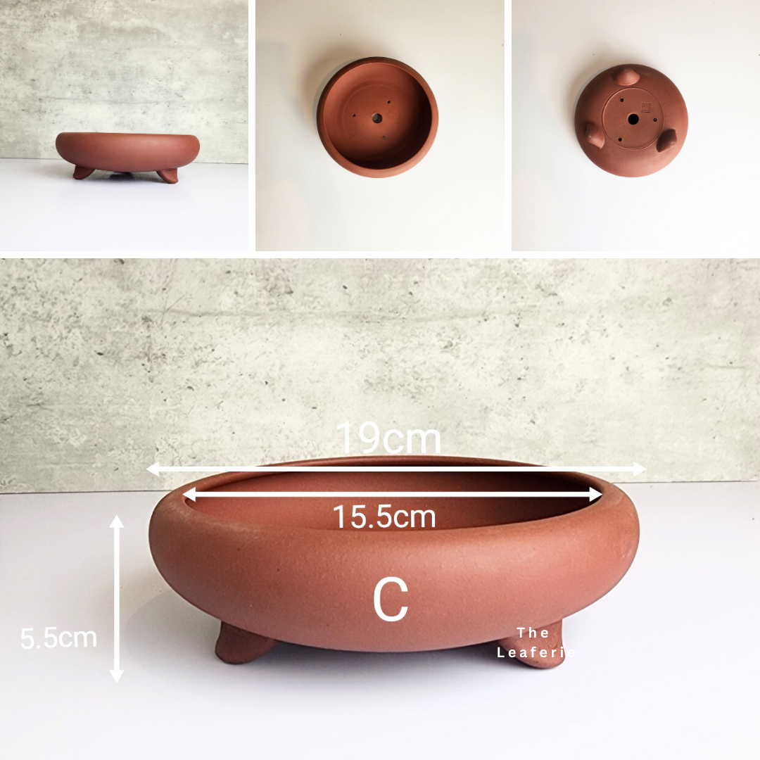 Bonsai Tray / Flowerpot (Series 3)