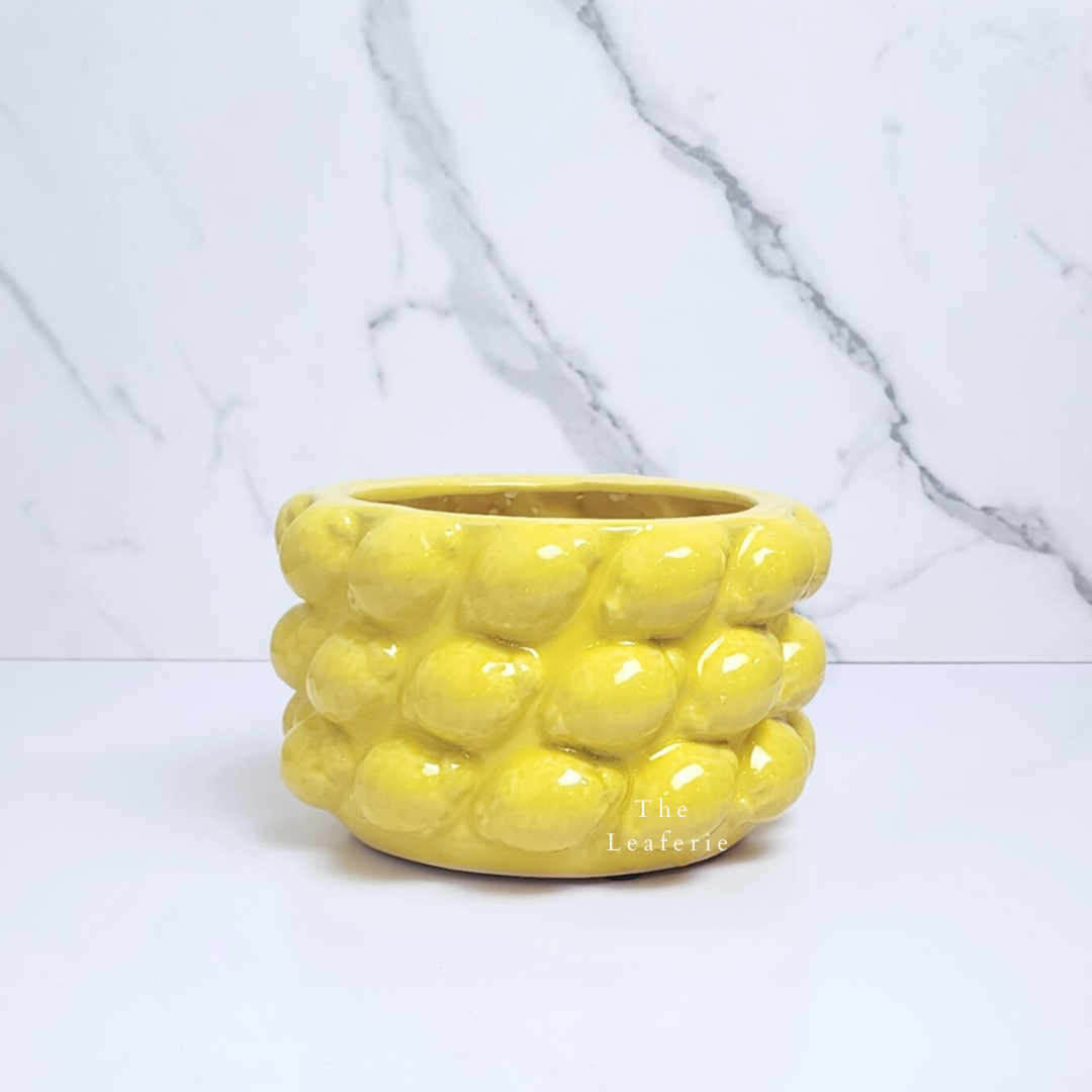 Saburo Lemon Flowerpot