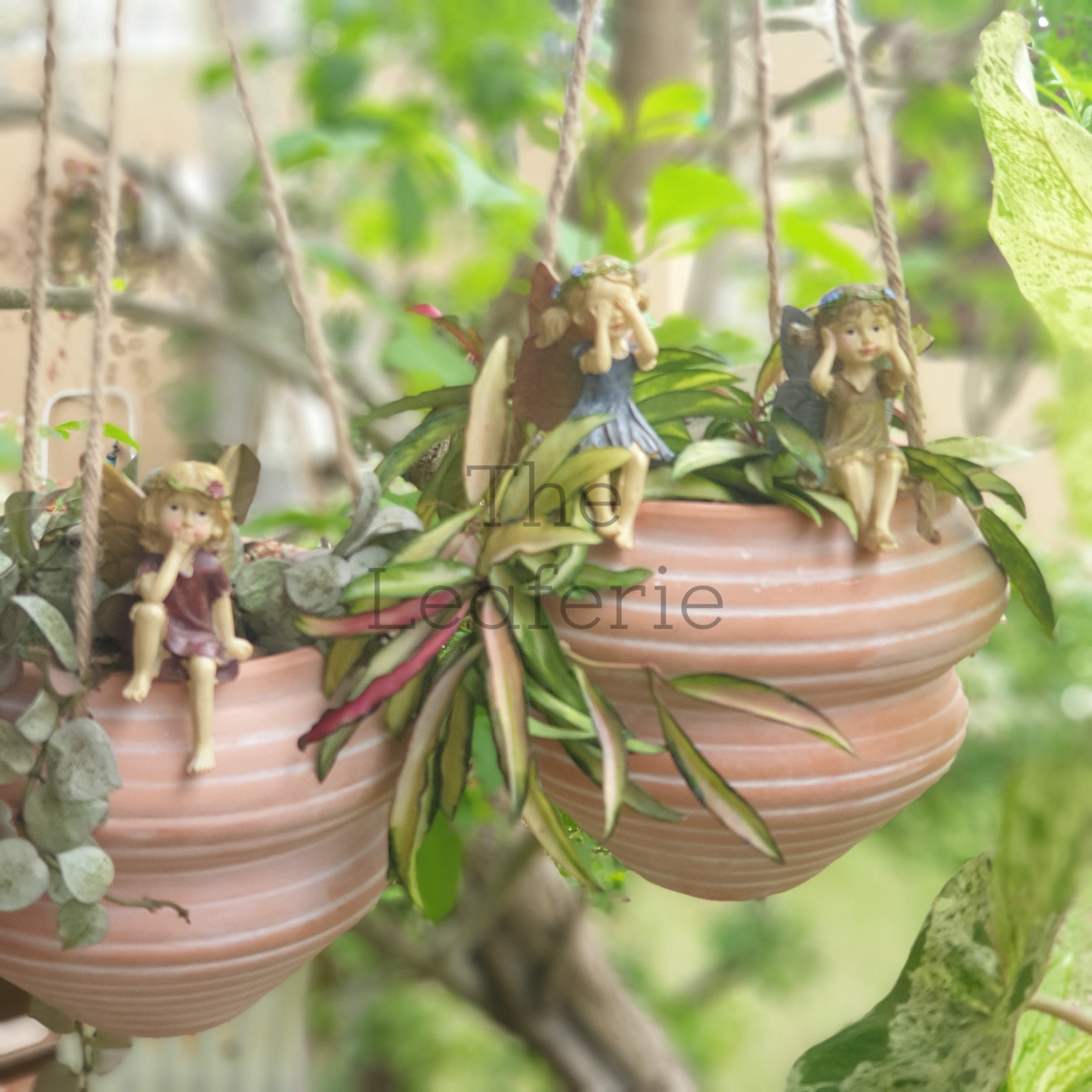 Luke, Leah and Han Garden Decoration set