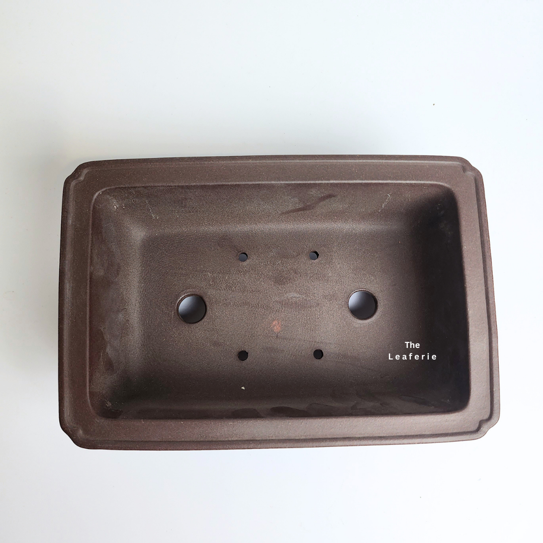 Bonsai Tally (Series 6) Rectangular Flowerpot