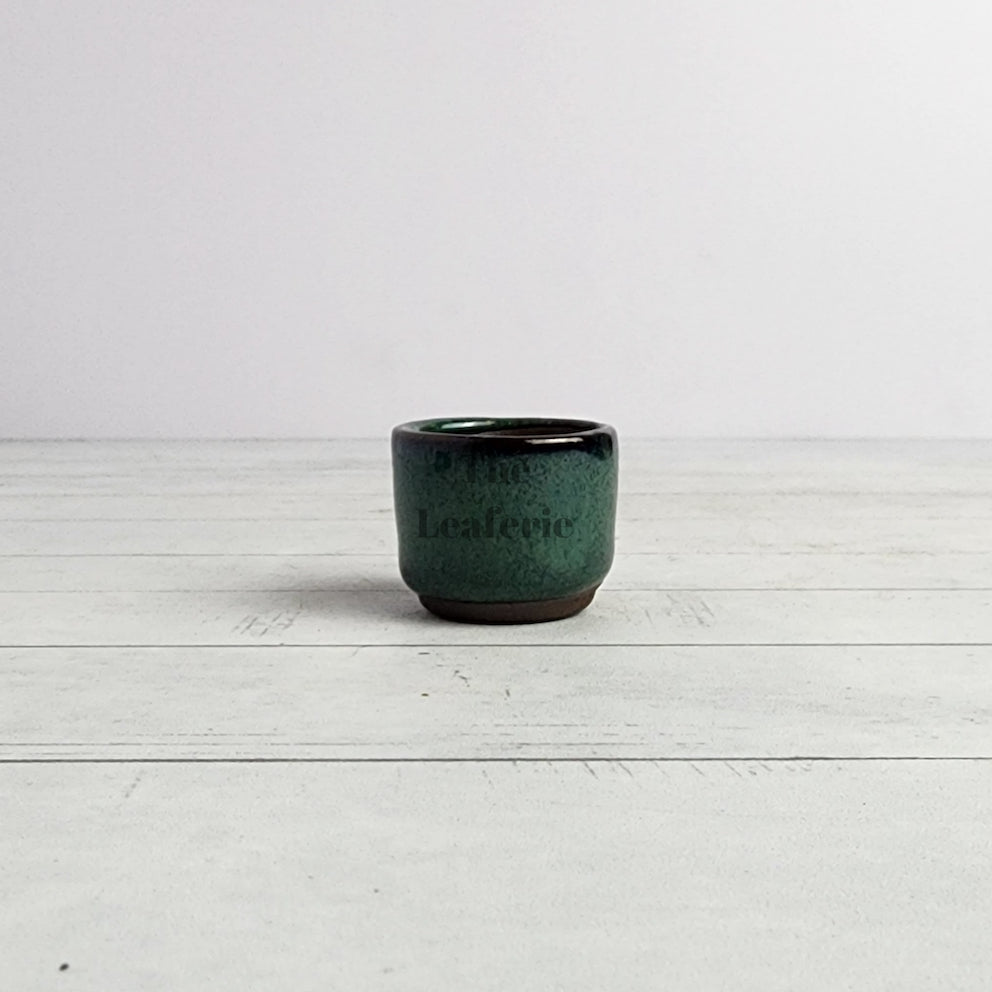 Petit Bonsai Pot (Series 18)