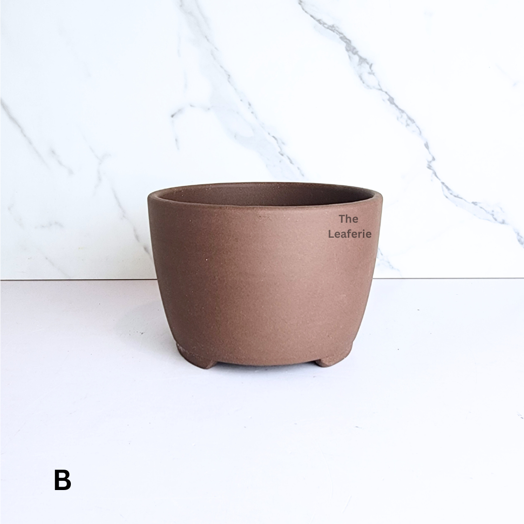 Bonsai Flowerpot (Series 68)