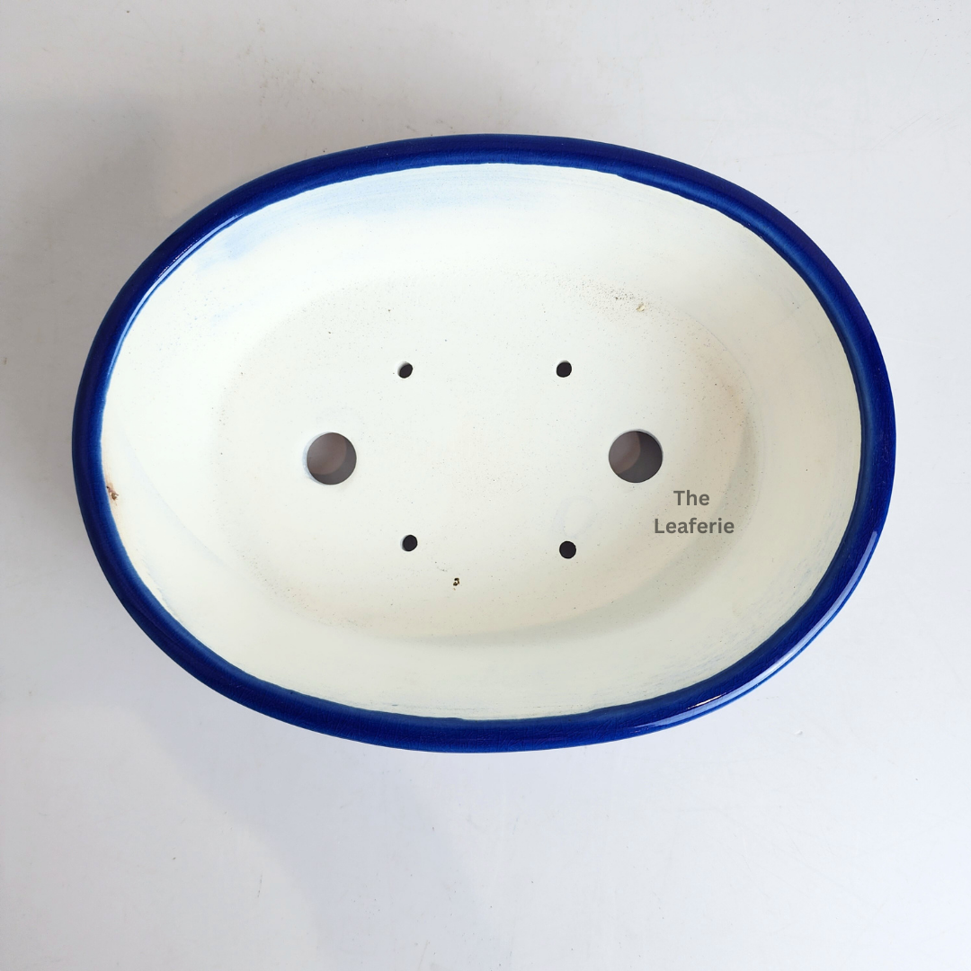 Bonsai Tally (Series 10 ) Oval Flowerpot