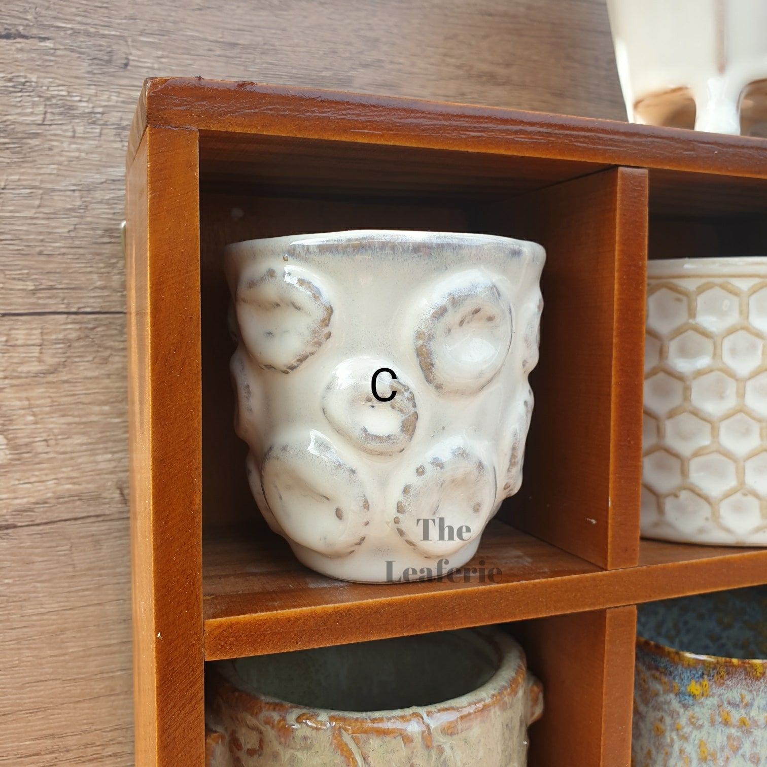 Petit Flowerpots (Series 3)