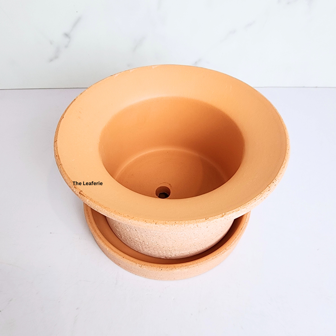 Yen Terracotta Flowerpot