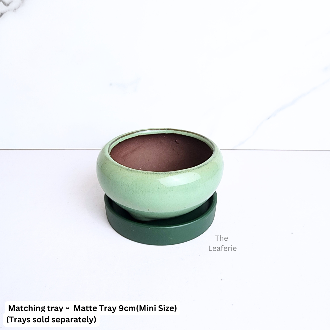 Bonsai Flowerpot (Series 25)