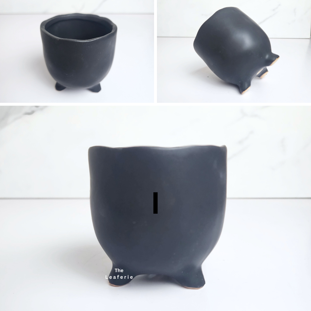 Petit Flowerpots (Series 14)