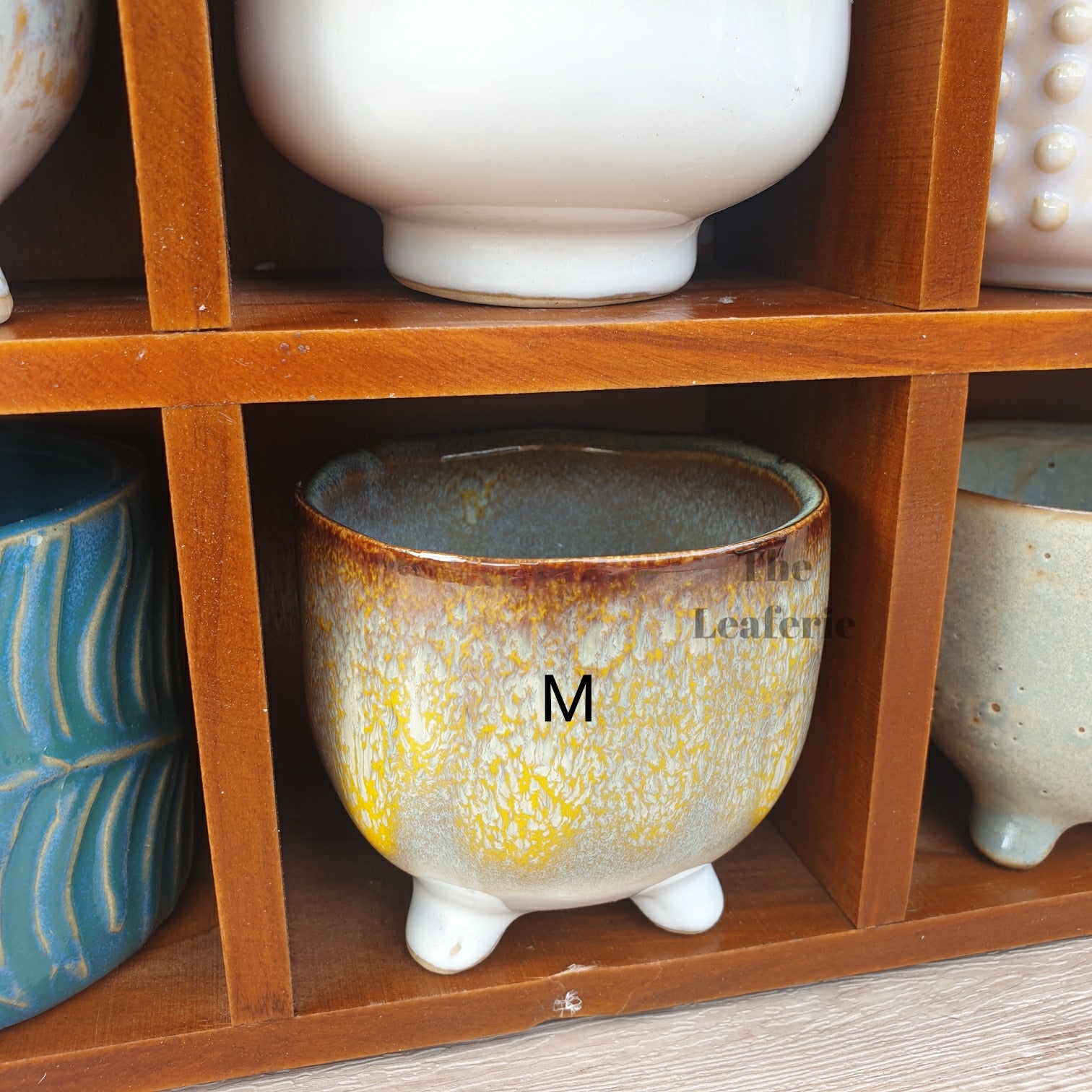 Petit Flowerpots (Series 3)