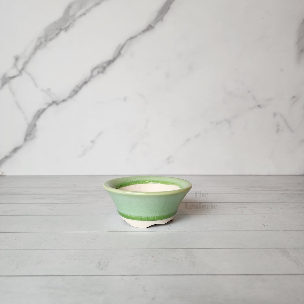 Petit Bonsai Pot (Series 12)