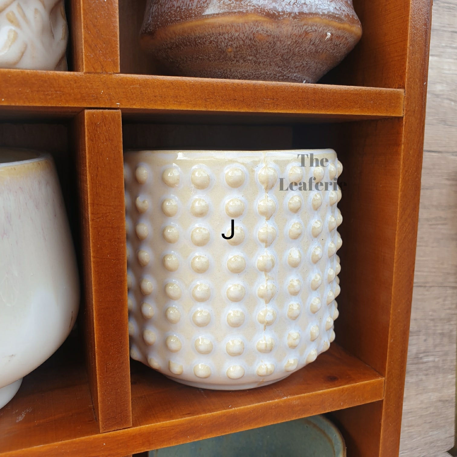 Petit Flowerpots (Series 3)