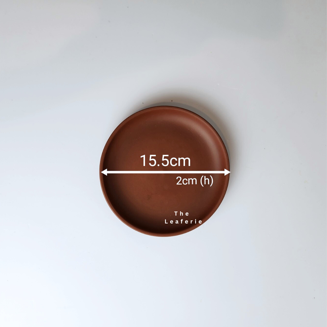 Zisha Large Trays (3 Colours)