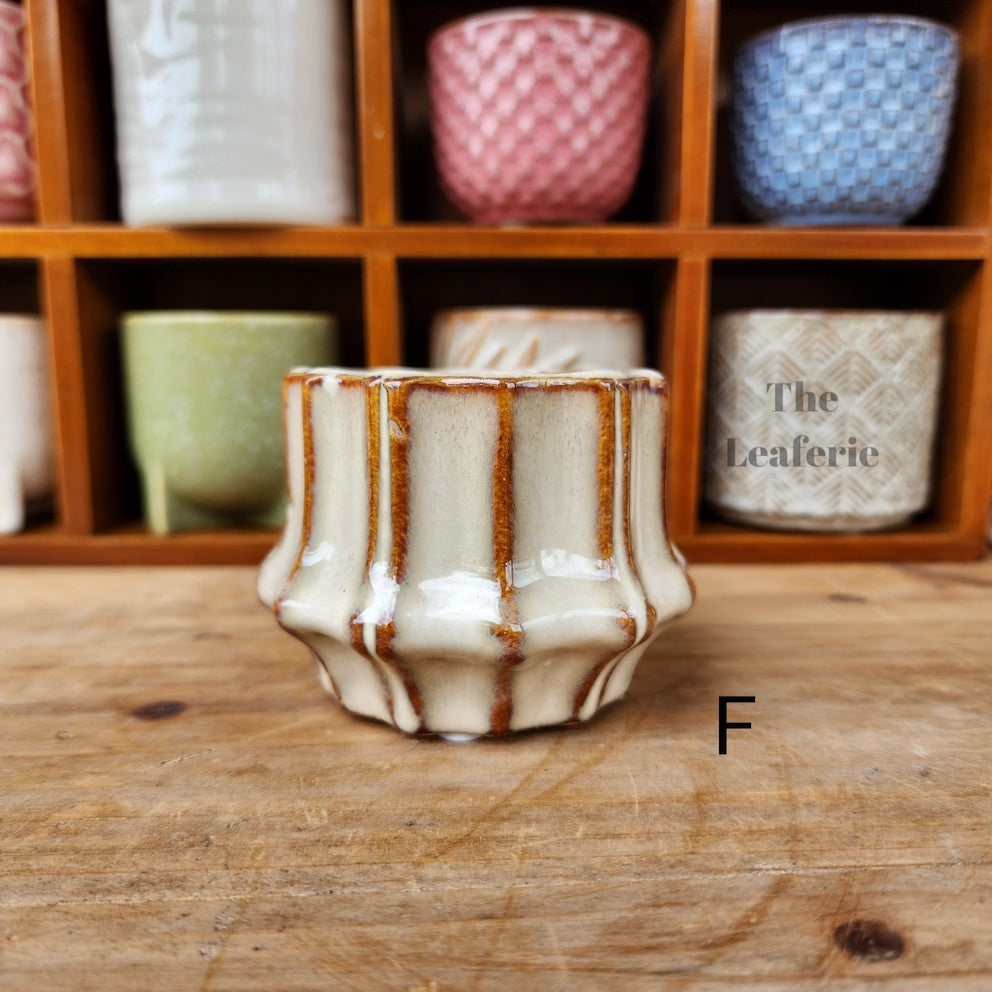 Petit Flowerpots (Series 7)