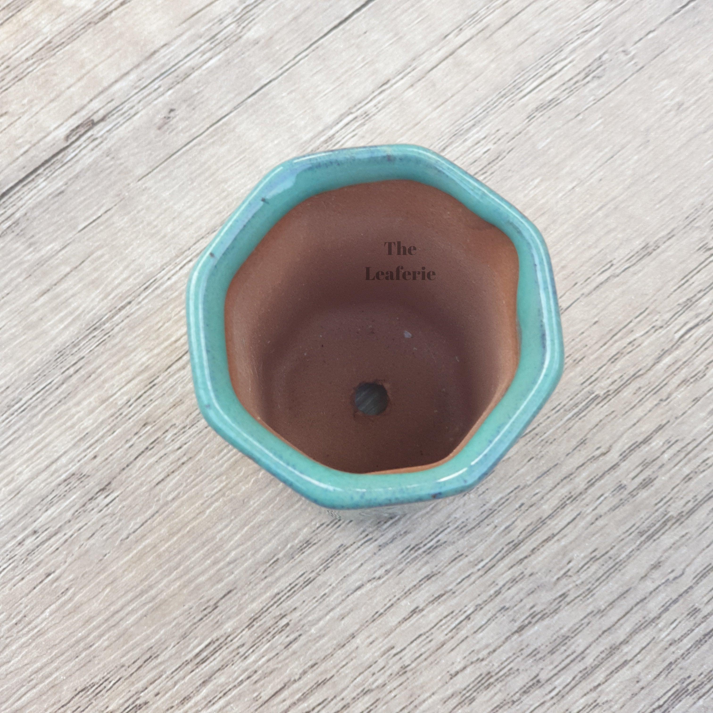 Petit Bonsai Pot (Series 7)