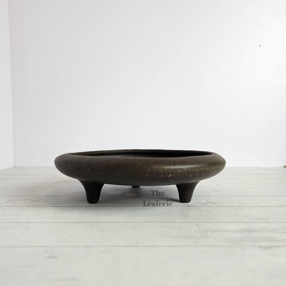 Petit Bonsai Tray / flowerpot (Series 4)