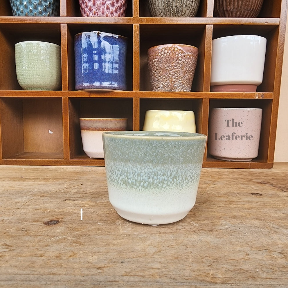 Petit Flowerpots (Series 8)