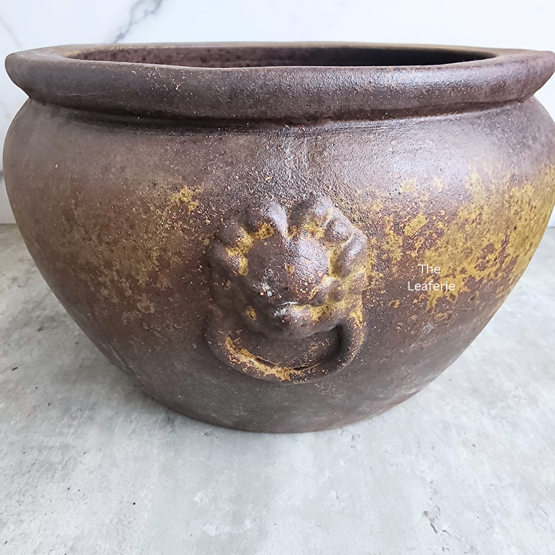 Lorelei Flowerpot (Suitable for Fish Bowl)