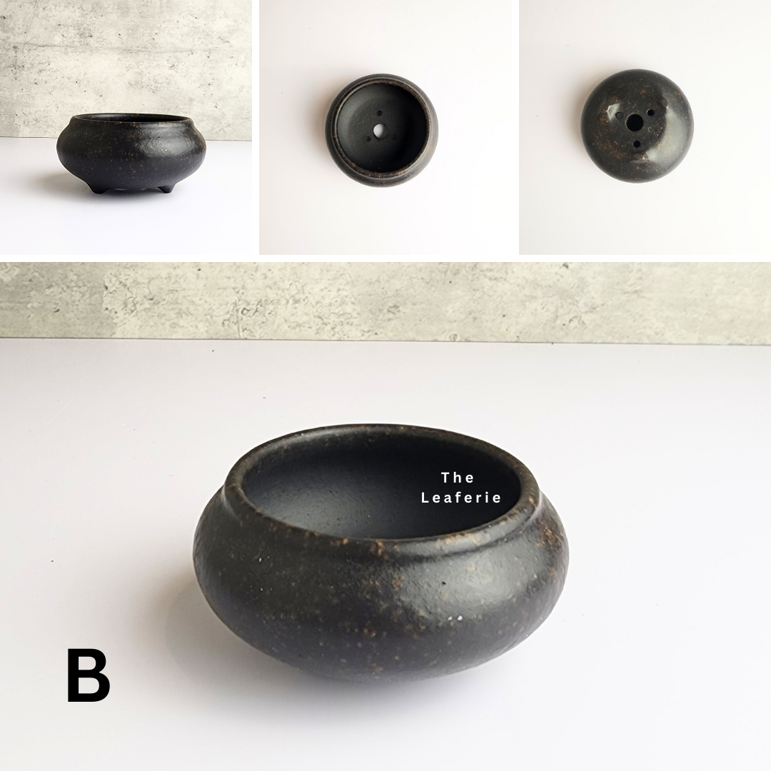 Bonsai Flowerpot (Series 30)