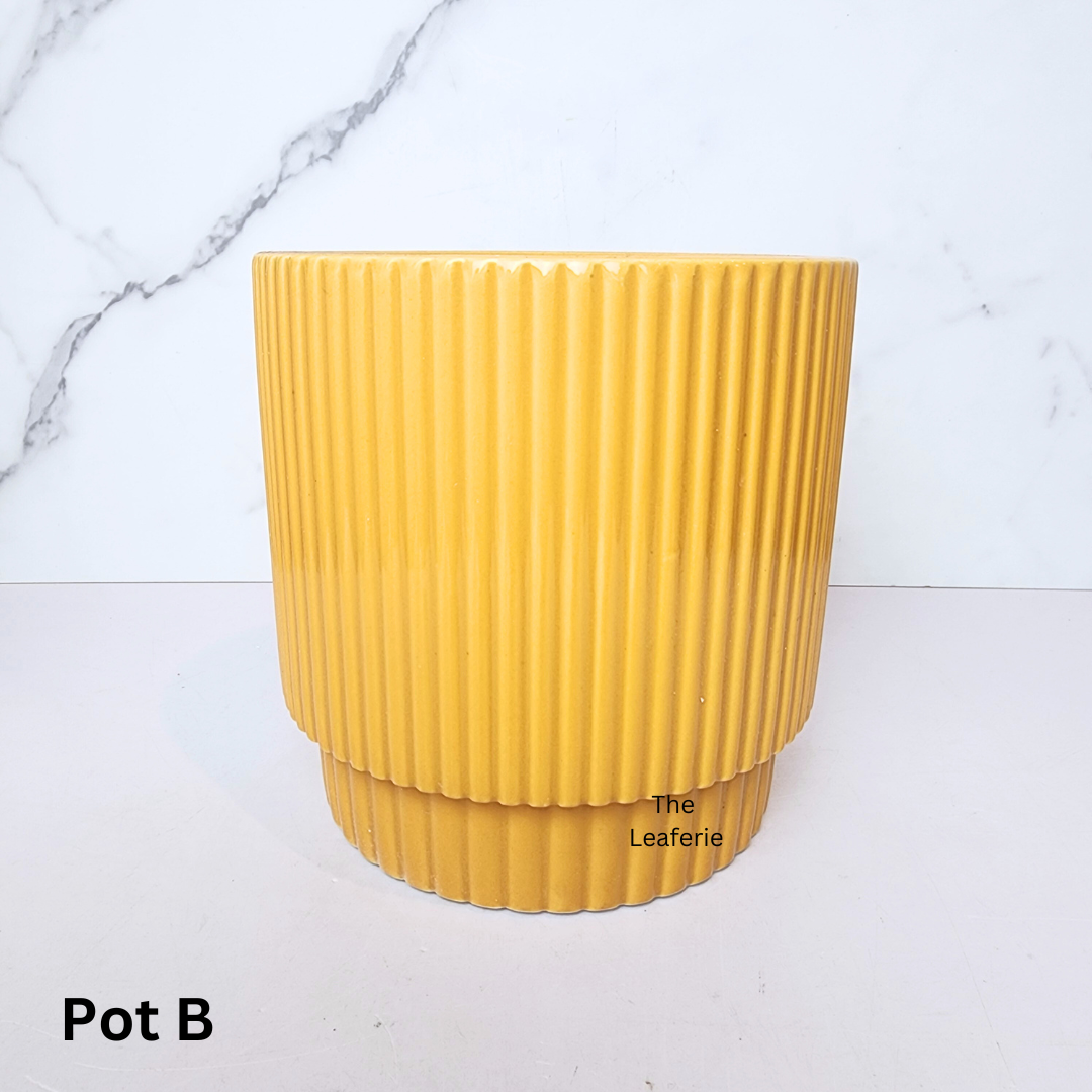 Sonnet Flowerpot (3 Colours)