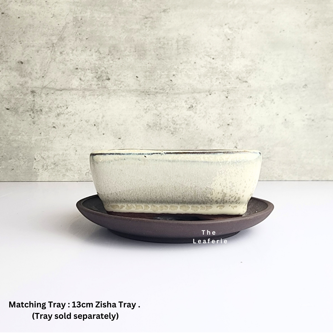 Bonsai Flowerpot (Series 33)