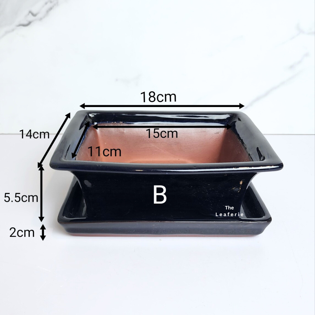 Bonsai Flowerpot (Series 40) with tray
