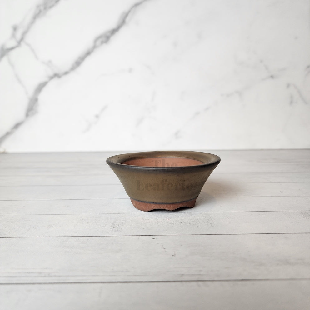 Petit Bonsai Pot (Series 12)