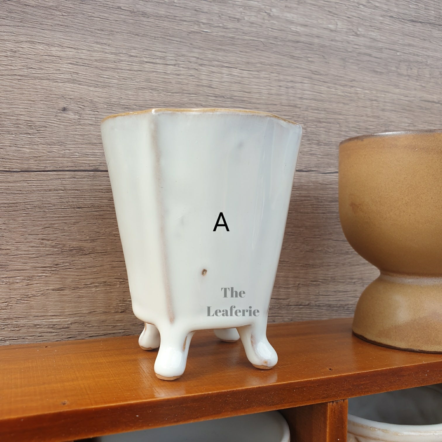 Petit Flowerpots (Series 3)