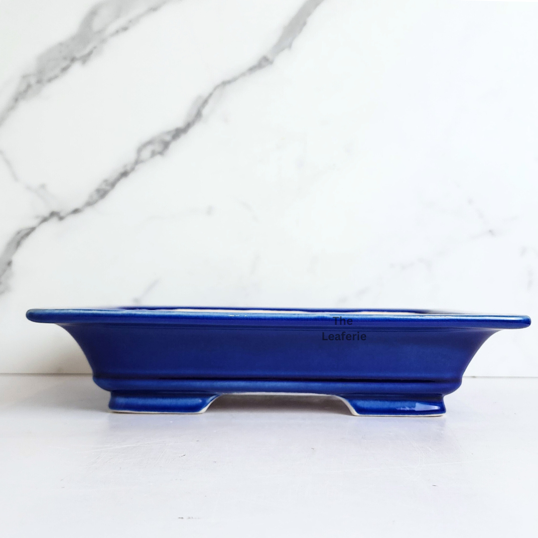 Bonsai Tally (Series 8) Rectangular Flowerpot