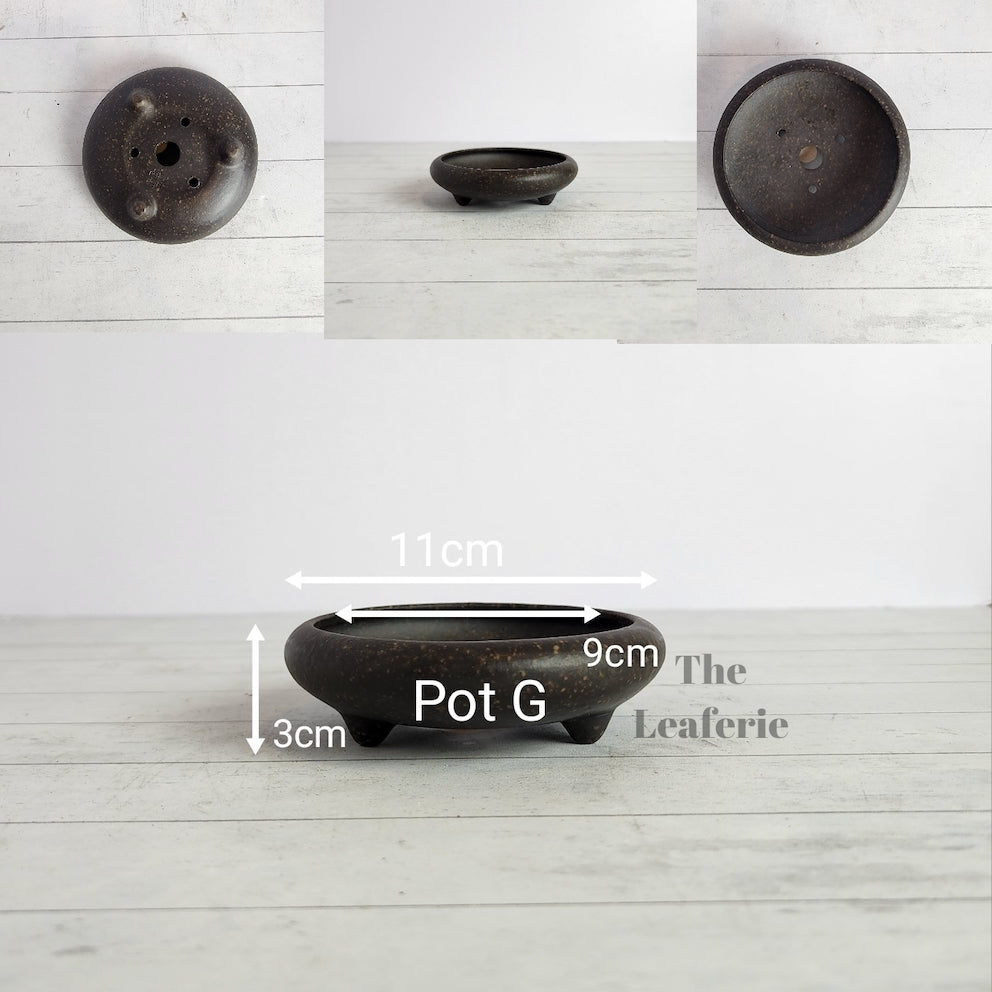 Petit Bonsai Tray / flowerpot (Series 4)