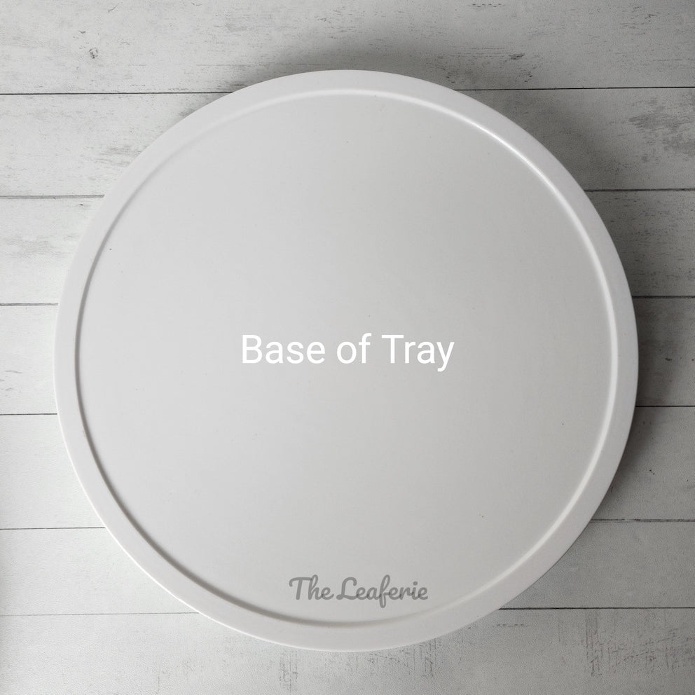 Large trays Eco-Friendly