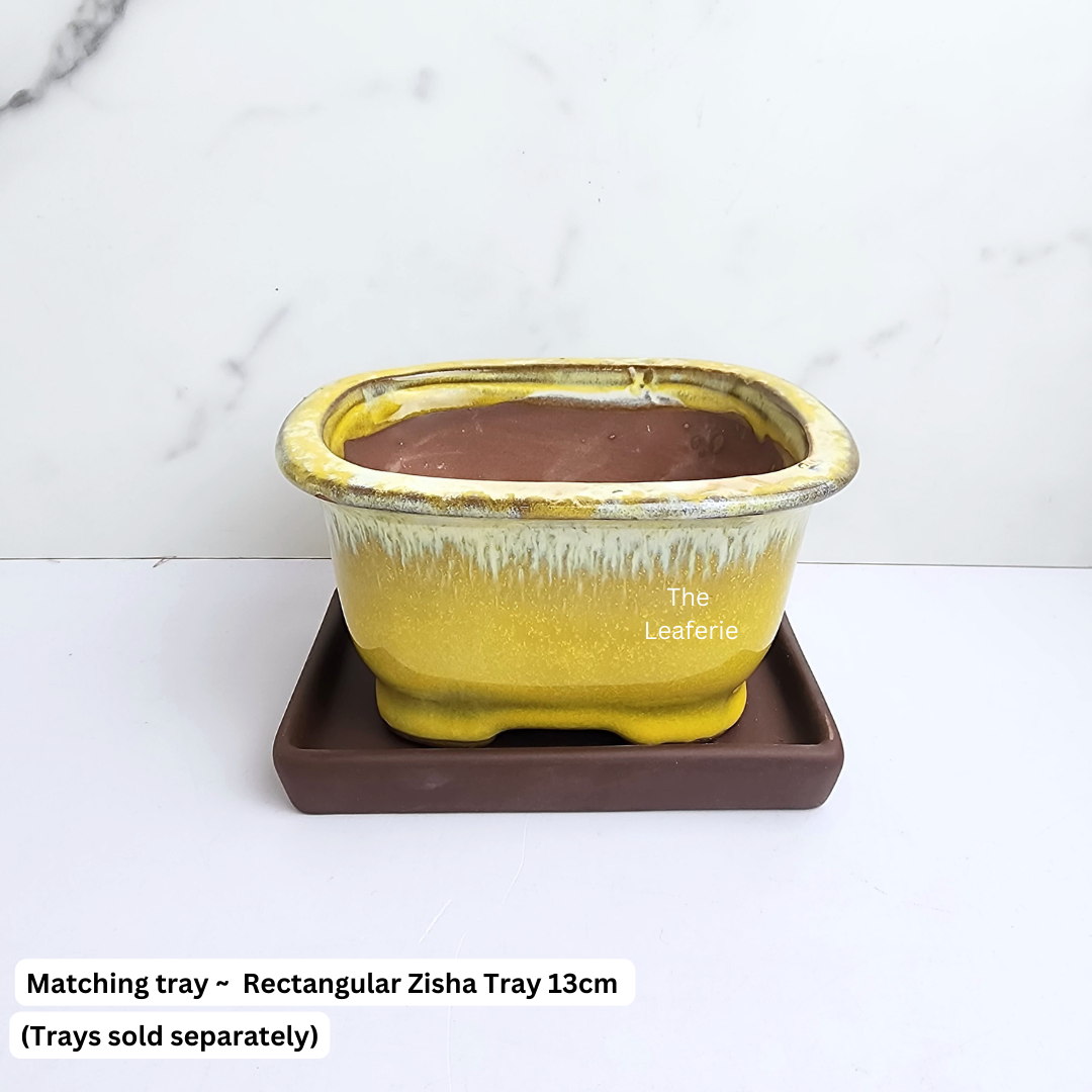 Bonsai Flowerpot (Series 24)