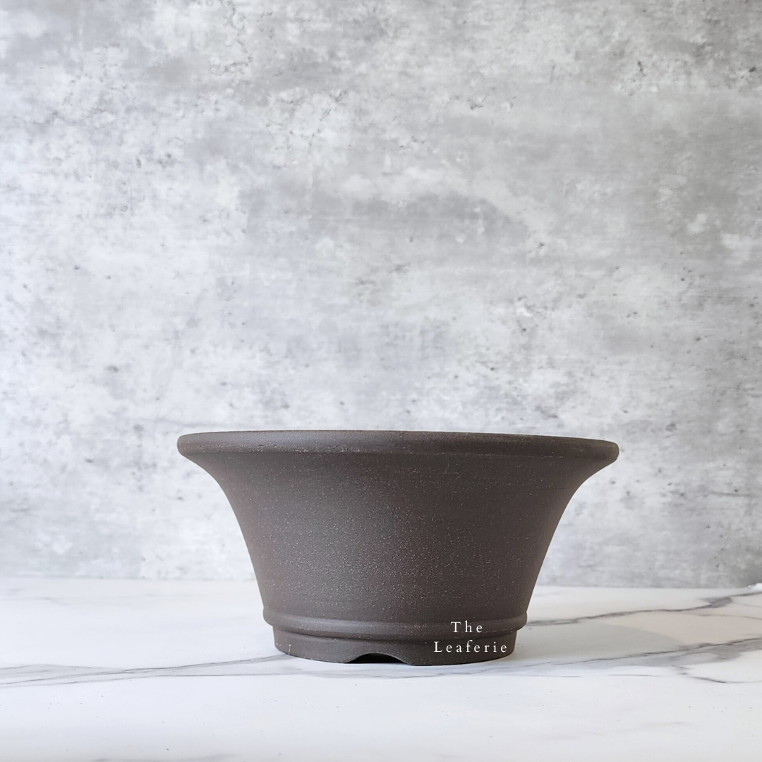 Bonsai Flowerpots (Series 20)