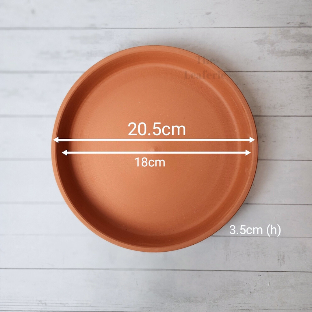 Terracotta Round Trays (7 Sizes)