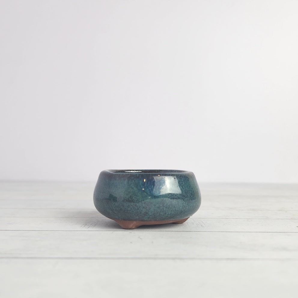 Petit Bonsai Pot (Series 5)