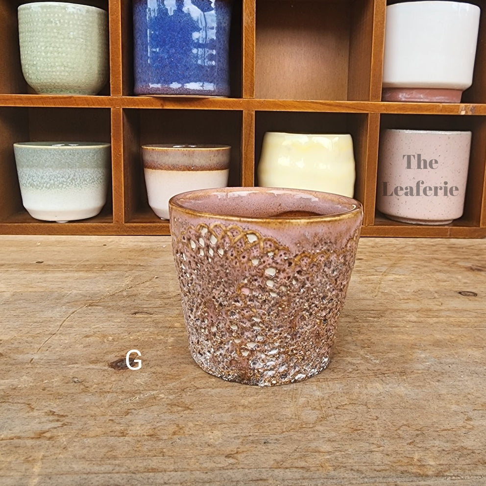 Petit Flowerpots (Series 8)