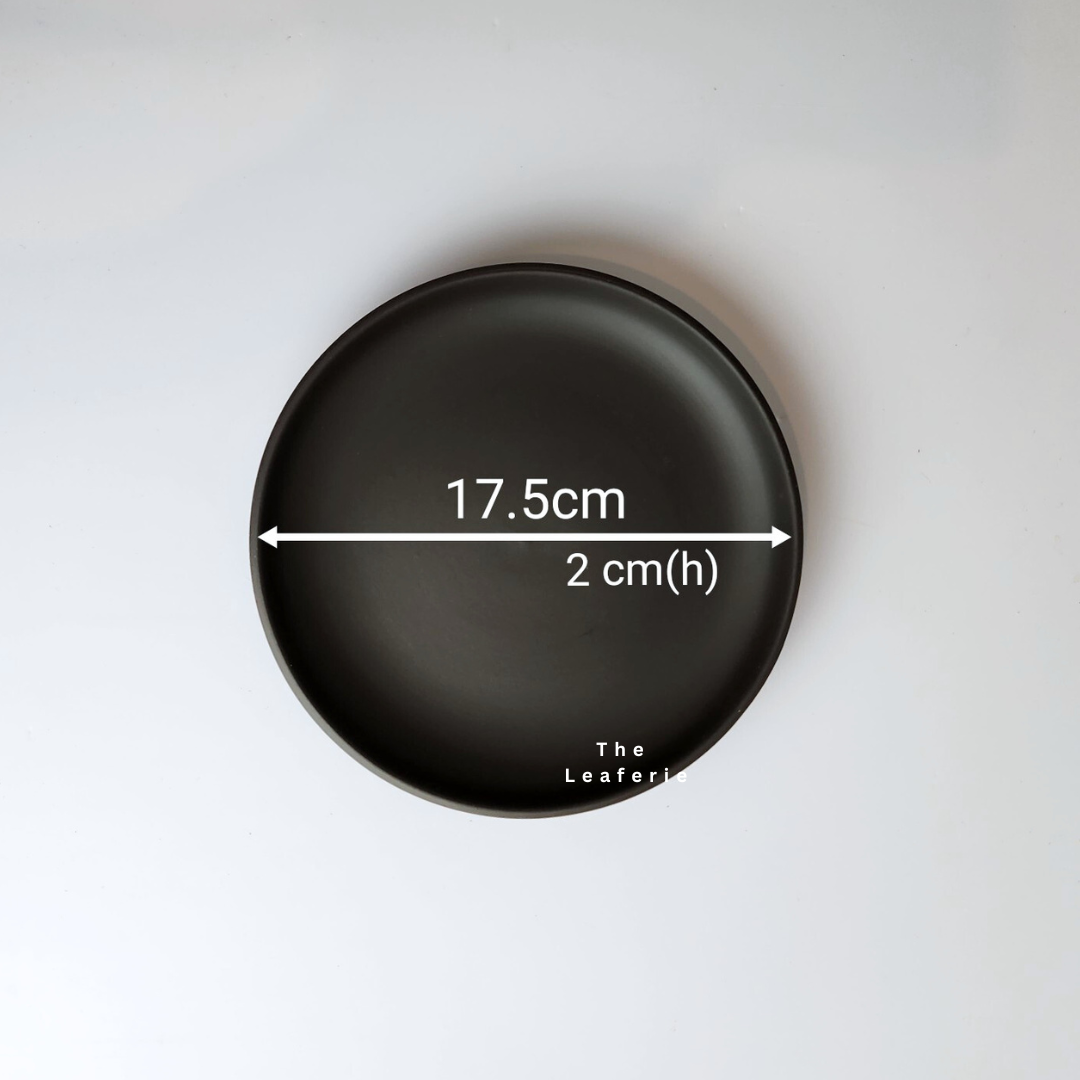 Zisha Large Trays (3 Colours)