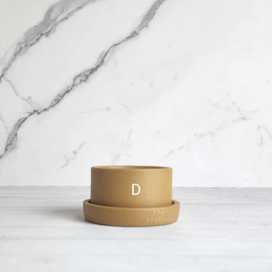 Noemie Mini Flowerpot (Series 2)