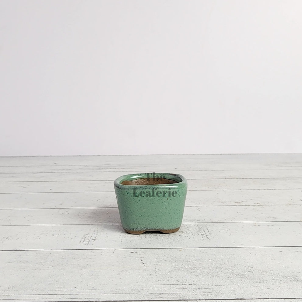 Petit Bonsai Flowerpot (Series 6)