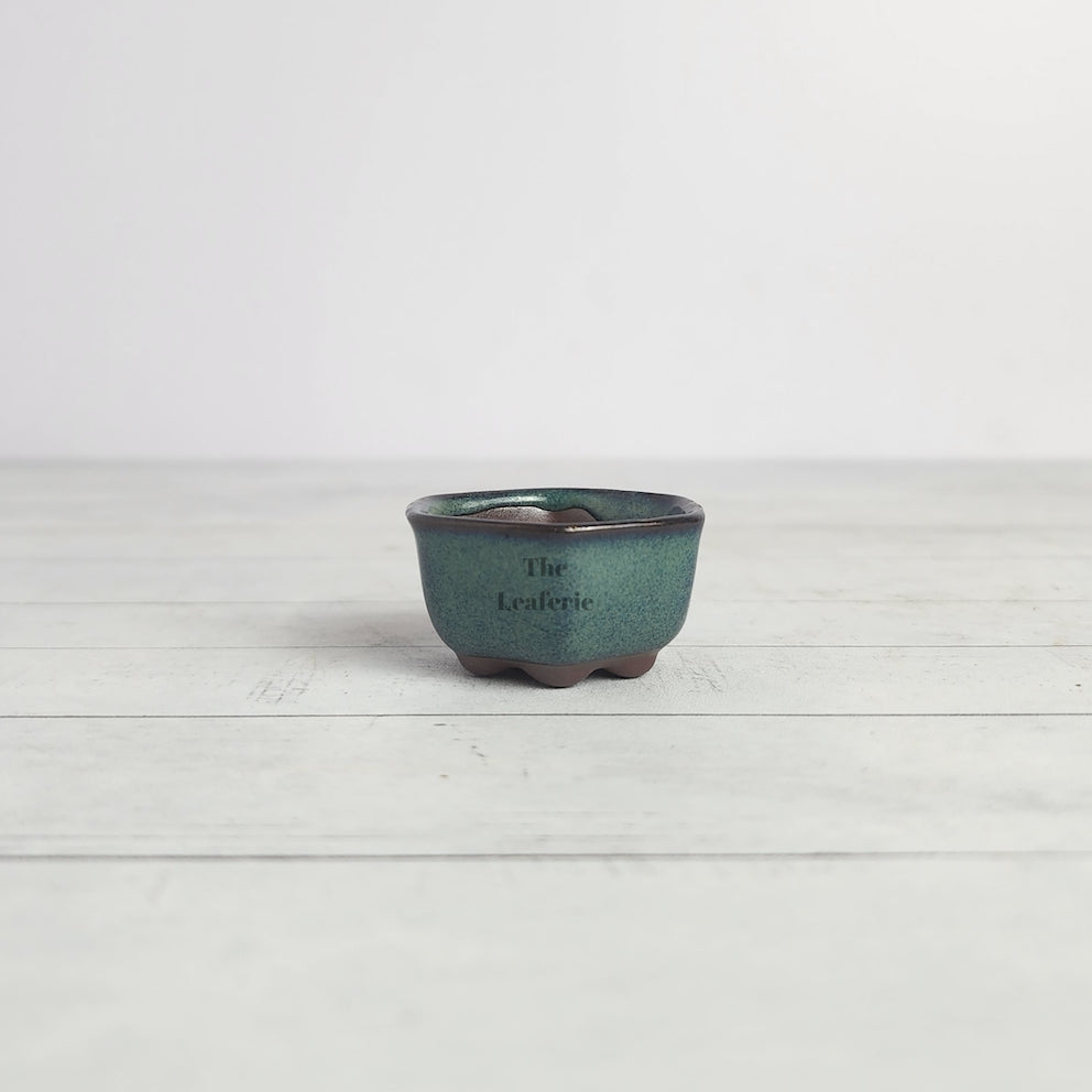 Petit Bonsai Pot (Series 16) Hexagon shape