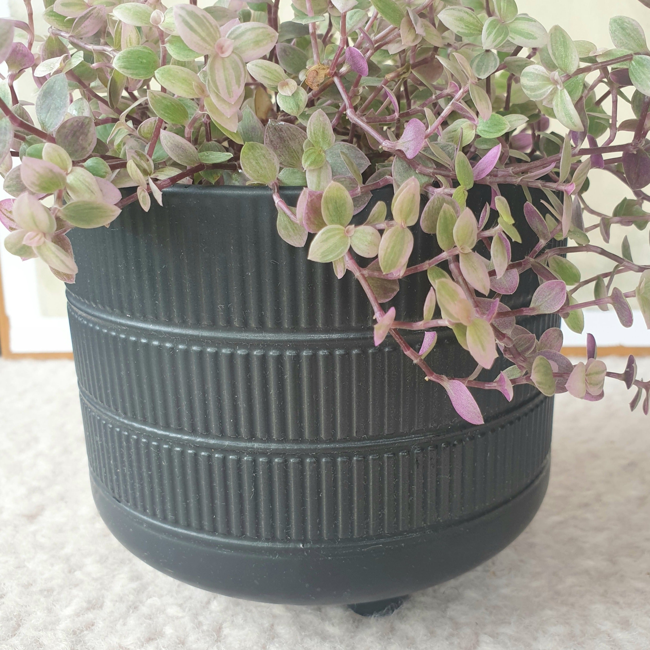 Stripes Flowerpot