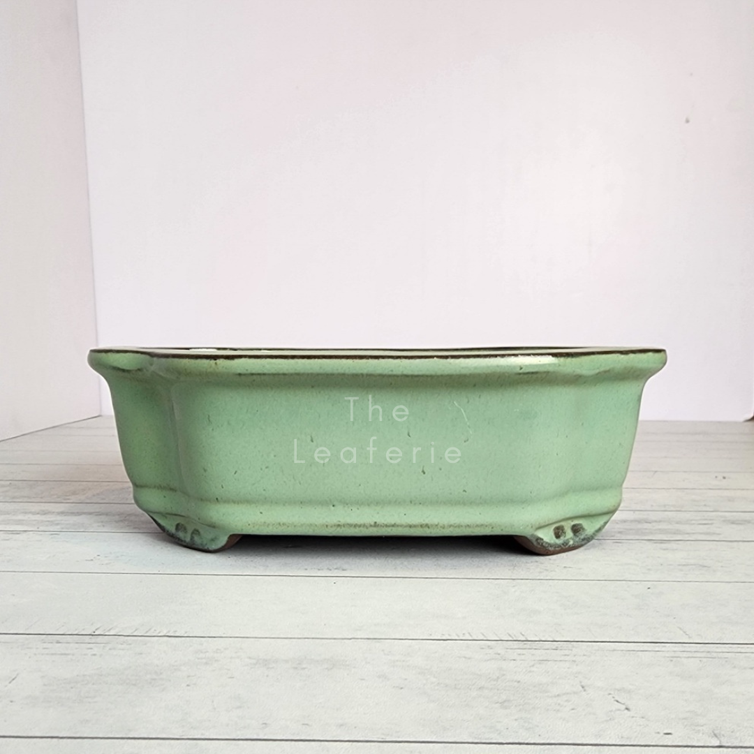 Tally Bonsai Flowerpot (Series 1)