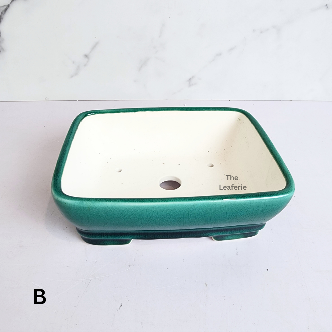 Bonsai Flowerpot (Series 66) Rectangular