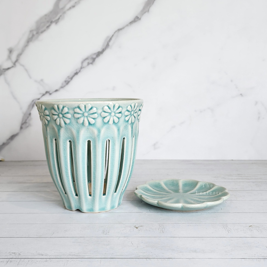 Leia Orchid Flowerpot